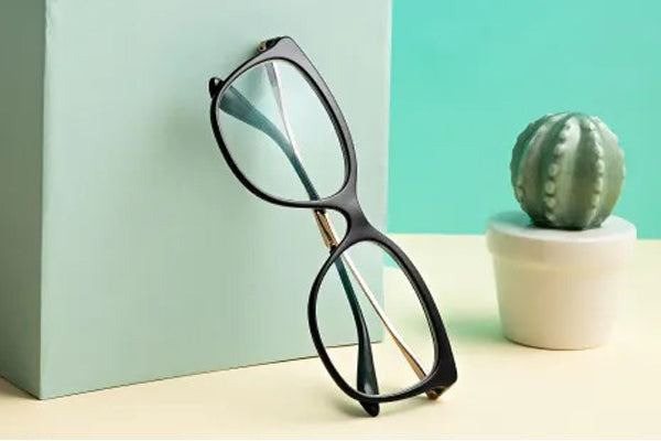 EYEGLASSES FRAME